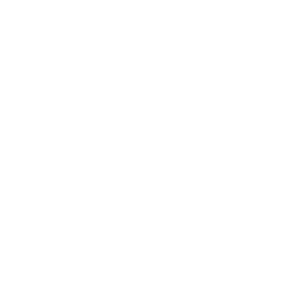 Icon weiß